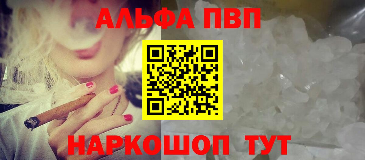 Альфа ПВП СК КРИС Кореновск