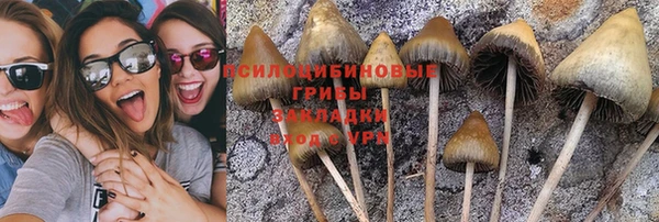 apvp Аркадак