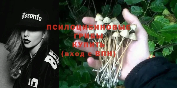 СК Новодвинск