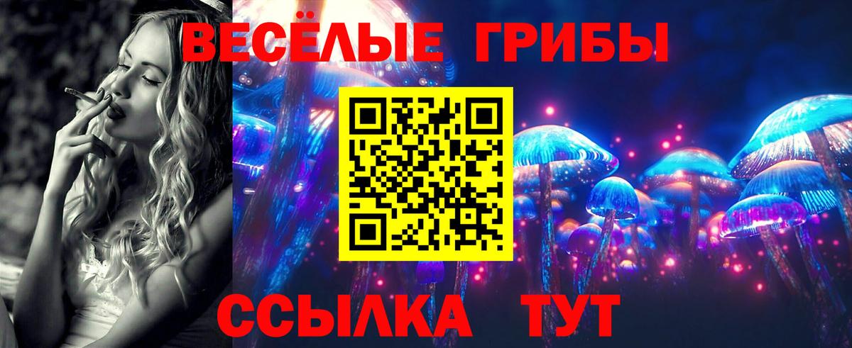 Псилоцибиновые грибы Cubensis  Галлюциногенные грибы мухоморы  Кореновск  Вход с VPN 